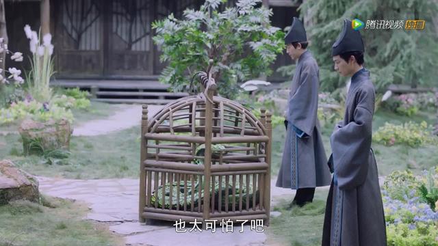 息泽就是东华吗，三生三世枕上书小说中在阿兰若之梦中凤九是否知道（剧情67,阿兰若版本小白几乎接不住）