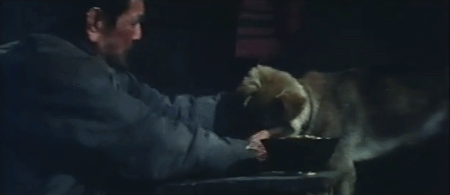 电影女儿谷剧情介绍，女儿谷大结局什么（这部国产禁片终于被找到）