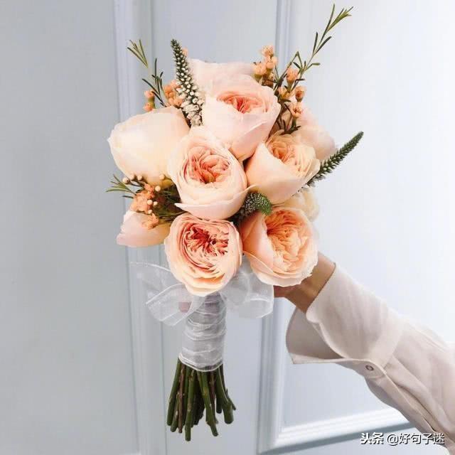 表达爱意的句子，楚辞中表达爱情的句子（适合发朋友圈最好听的情话）