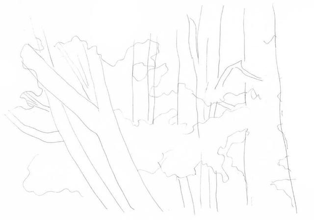 小树简笔画怎么画，小树的简笔画怎么画（教你三种常见树木画法）