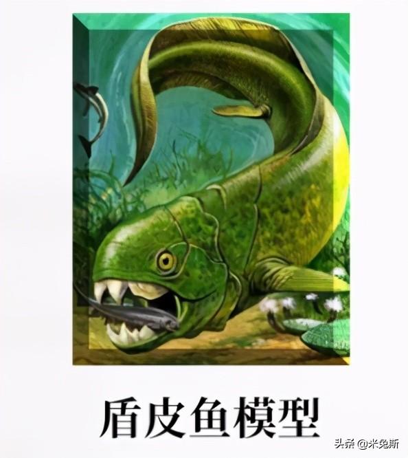 牙齿的种类有哪些，牙齿有哪些分类（带你了解人类牙齿的进化史）