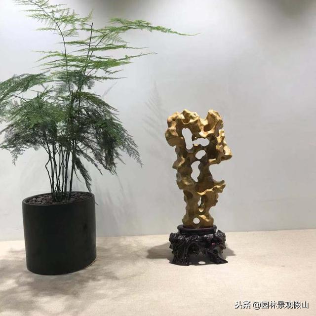 太湖石的特点，太湖石的特点5大特点（太湖石的成因特点）