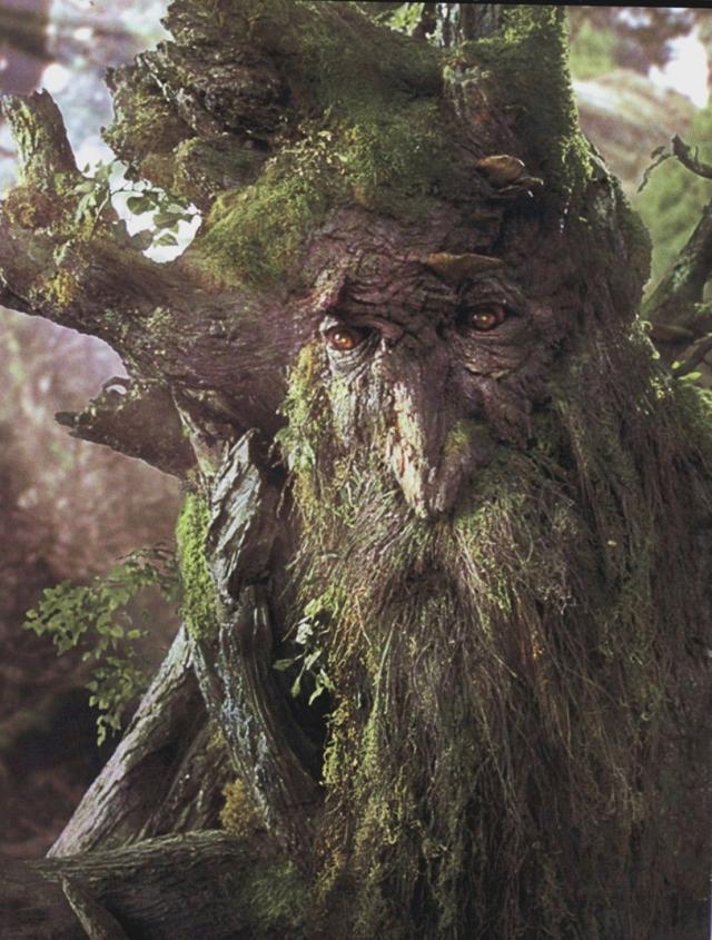 树人是什么意思，百年树人的树人是什么意思（聊聊中土世界的神奇生物——树人）