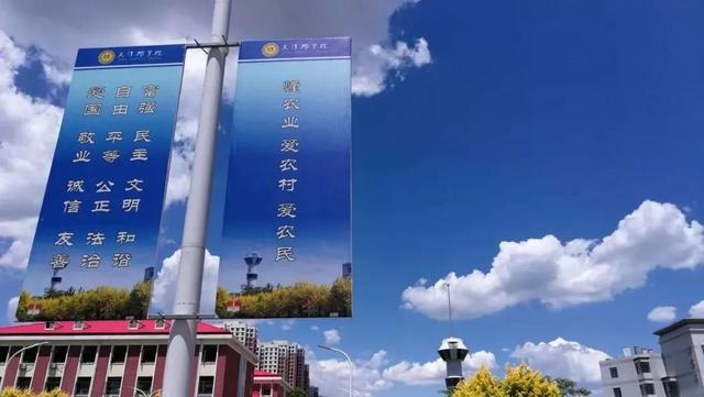 天津农学院是几本，天津农业学院是几本的（天津市普通高等院校）