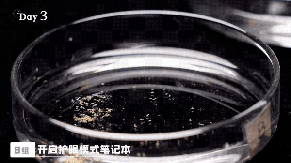 如何开启电脑防蓝光护眼呢，电脑如何关闭防蓝光护眼（我们把实验搬去了“太空”）