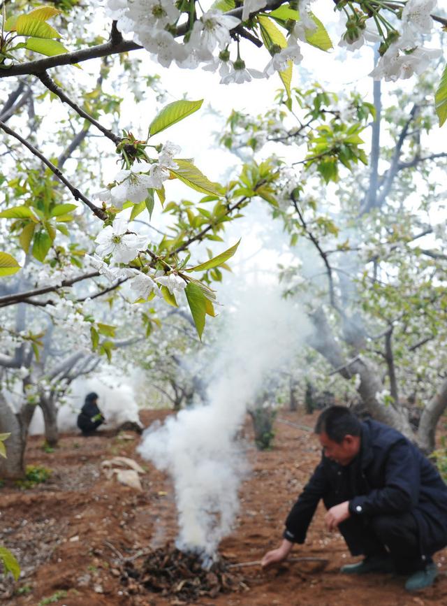 什么叫倒春寒如何防治，什么叫倒春寒?如何防治（倒春寒出现的原因）