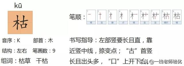 号加鸟怎么读，】部编版二年级语文上册