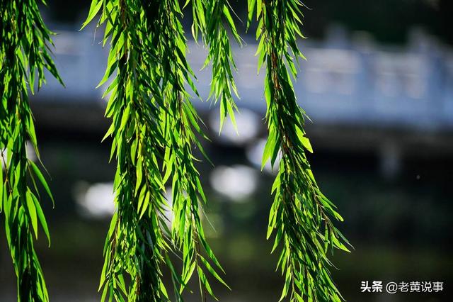 沾衣欲湿杏花雨的下一句，沾衣欲湿杏花雨后面一句是什么（吹面不寒杨柳风。诗句常被引用）