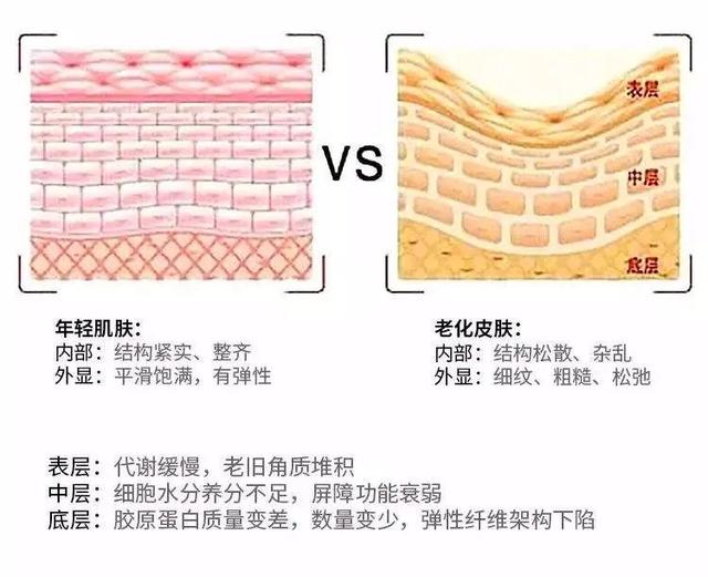 胶原蛋白填充脸部（胶原蛋白填充是新技术吗）