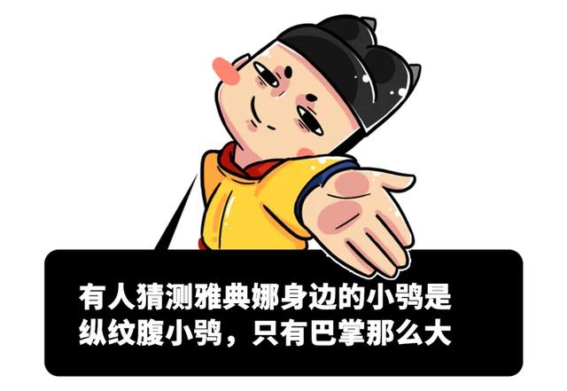 养雪鸮犯法吗，宠物雪貂多少钱一只（猫头鹰的构造原来这么奇葩）