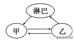 内环境的组成成分，内环境的组成成分含义（高三一轮复习必修三细节梳理和重点题型）