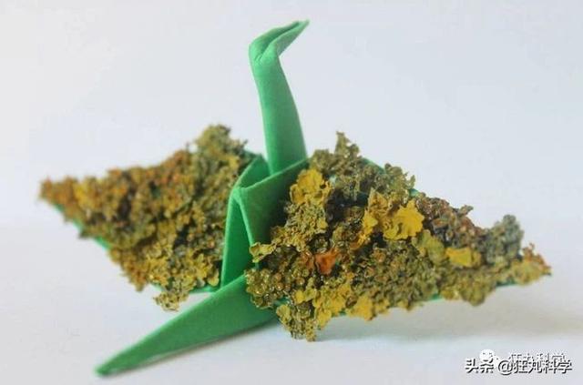 如何做一个千纸鹤，怎样才能做千纸鹤（一千天叠出1000种纸鹤）