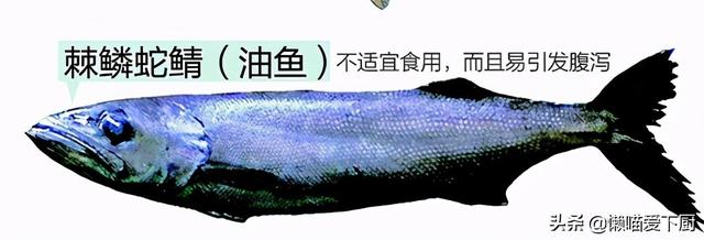 鳕鱼是不是深海鱼类，这种鱼常被冒充“鳕鱼”