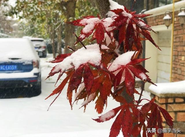 情侣唯美雪景图片，情侣唯美雪景图片真实（冬日初雪印象：一半冬雪）