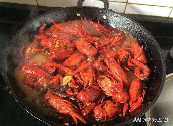 青虾和红虾的区别，青虾和红虾的区别是什么（买小龙虾时选青虾好）