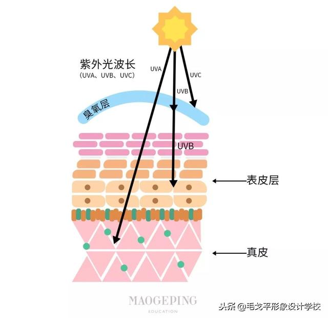 完整的底妆顺序，完整的底妆顺序图片（但你第一步就做错了……）