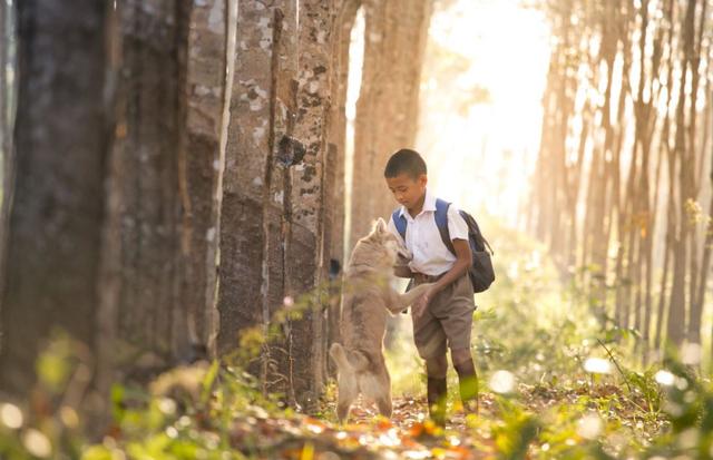 孰是孰非什么意思,歧路亡羊文言文的翻译及寓意是什么(一个佛系老母亲经历的幼升小) 孰是孰非什么意思,歧路亡羊文言文的翻译及寓意是什么(一个佛系老母亲经历的幼升小)