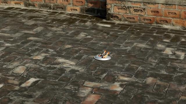 飞盘制作，飞盘局有多纵情声色? 飞盘媛们很主动, 阔少们也不手软（遥控飞盘的制作方法）