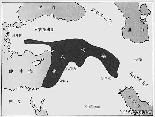 每天喝一小勺亚麻籽油有什么好处，亚麻籽油的功效与作用（亚麻籽油：说我风味太独特）