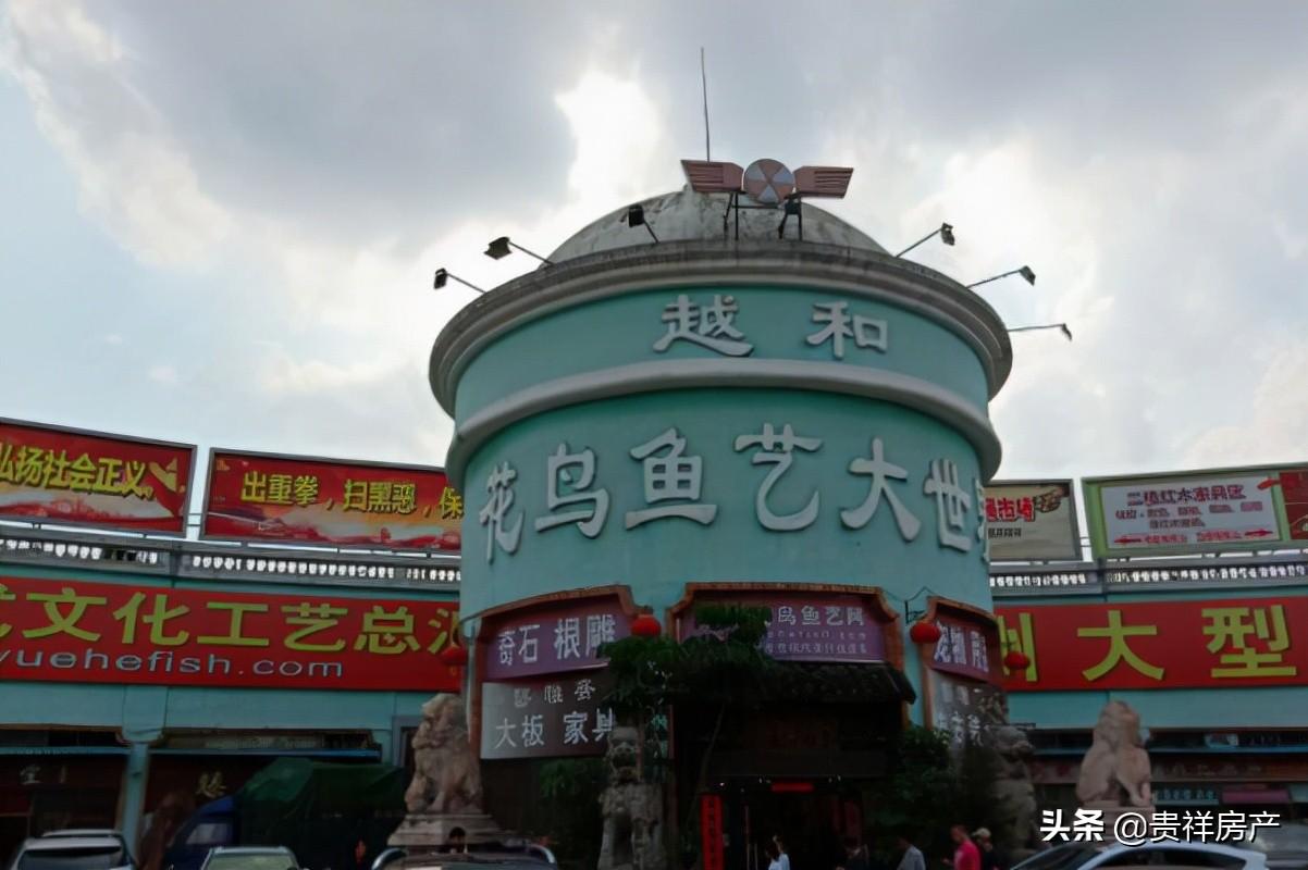 中国最大渔具批发市场揭秘：全国十大花鸟鱼虫市场中谁居首位？