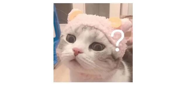 福州外语外贸学院地址，2021福州外语外贸学院地址在哪里（校园主播带你走进福州外语外贸学院）