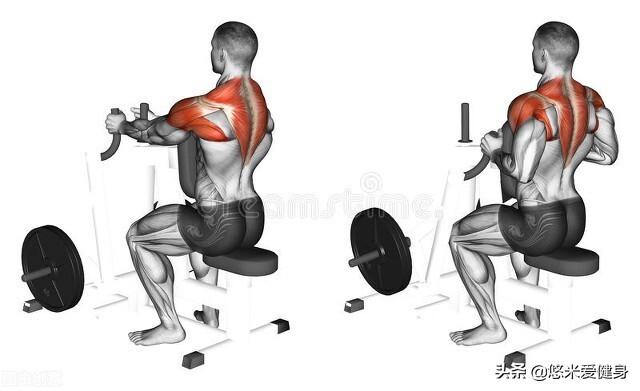 斜方肌拉伸方法图解，斜方肌拉伸（轻松消除斜方肌提升气质）