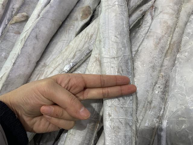 中国最好的带鱼产自哪里，中国哪里盛产带鱼（记住选择“三小一厚”）