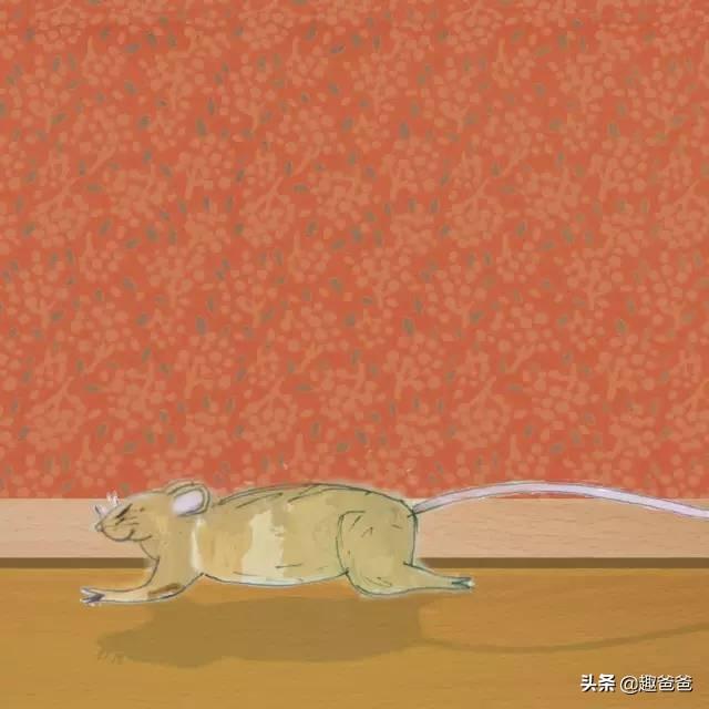 小动物找房子的故事内容，小动物找房子的故事内容简介（儿童小故事：小老鼠找新家）
