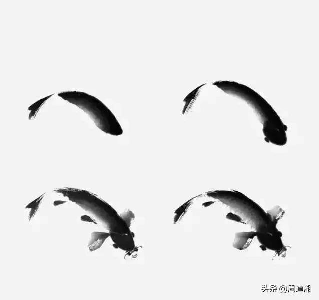 金鱼画法步骤图解,国画写意鲤鱼、金鱼的画法 金鱼画法步骤图解,国画写意鲤鱼、金鱼的画法
