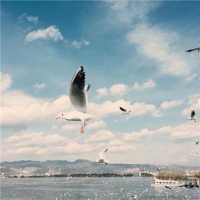天空图片大全 唯美意境，天空/意境/背景图/ins风 ins风天空背景图（微信风景唯美天空高清无水印头像）