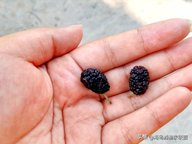 哈仙岛在哪里，哈仙岛附近还有什么岛（这一篇攻略就够了）