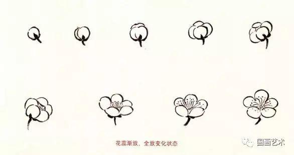 怎么手绘梅花简笔画，梅花简笔画 手绘（梅花基础画法讲解）