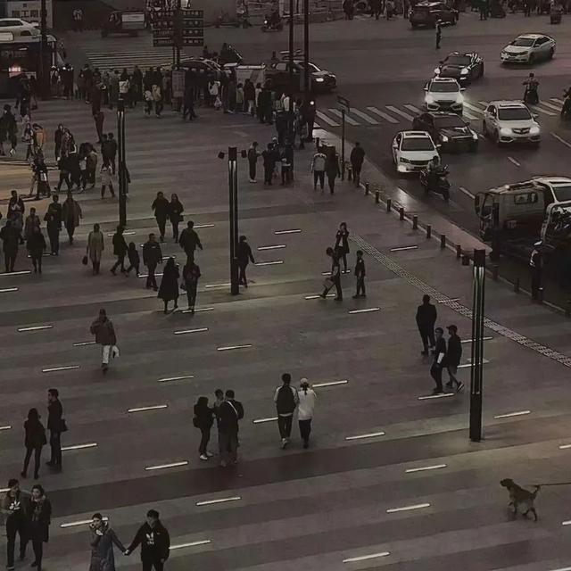 高级背景图，高级背景图片ins黑色（复古高级感背景图）