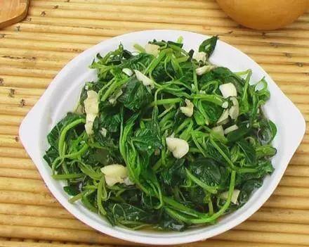 做清明果的草叫什么草，做清明果的那种草叫什么（春天不可错过的4种野菜）