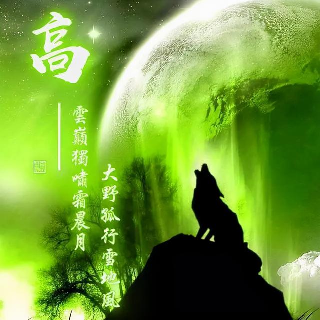 狼图片头像 凶猛 霸气 冷酷，100张姓氏霸气狼头像（100张“血性狼”姓氏头像、送给在困境中坚持梦想的你）