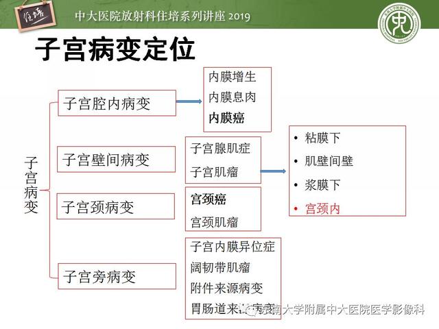 子宫颈影像解剖，子宫详细解剖及磁共振信号分析