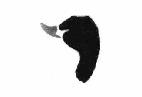 如何画一只简单的小鸭，怎样画一只小鸭子（寥寥几笔画小鸭！）