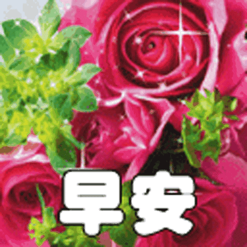 每日早安问候语，早安问候语暖心一句话（每日清晨最新早安问候语简短一句话致大家）