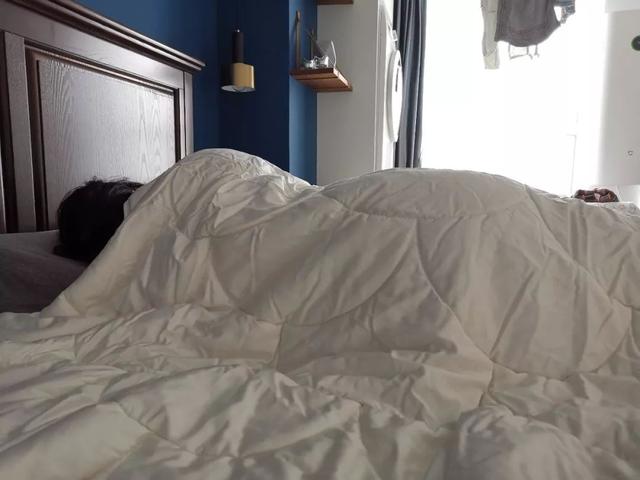 驼毛被子的优缺点，驼绒好还是羽绒被好_驼绒和羽绒被哪个好（五种常见材质被芯全方位对比）