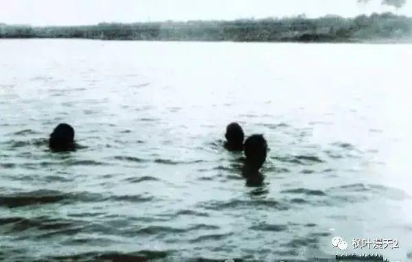 河南板桥溃坝事件，板桥水库758事件（板桥水库溃坝人为事件原因）