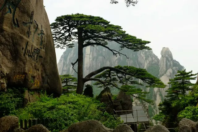 言不信者行不果，言不信者行不果是哪个人讲的（志不强者智不达）