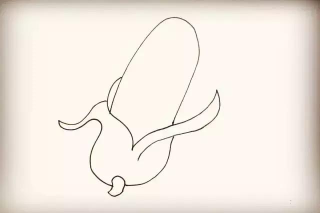 玉米简笔画图片，几株玉米的简笔画怎么画（可爱的玉米简笔画画法图解）