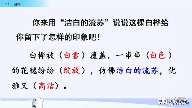 悠扬的近义词，“悠扬”的近义词是什么（四年级下册语文第11课《白桦》图文详解及同步练习）