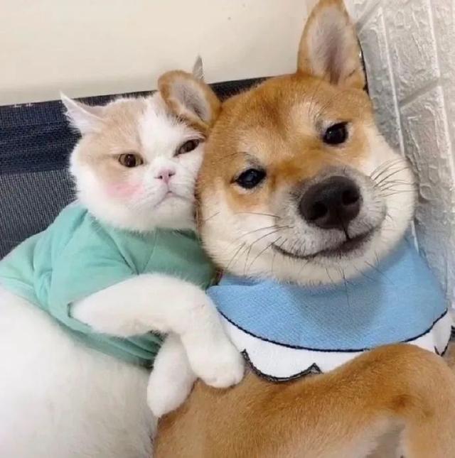 小众别致的情侣头像，小众别致的情头微信（头像，复古文艺的小众情头）