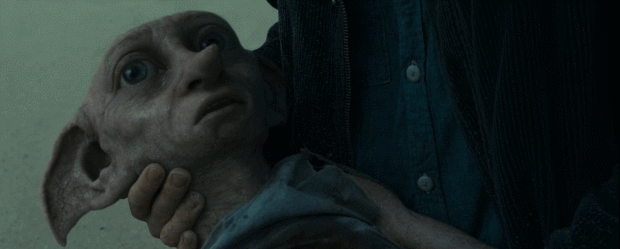 哈利波特一共有几部，哈利波特小说有几部（《哈利波特》泪点来了）