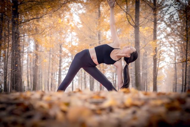 郯城银杏林在哪，郯城银杏林在哪个村（遇见2020年最后一抹秋色）