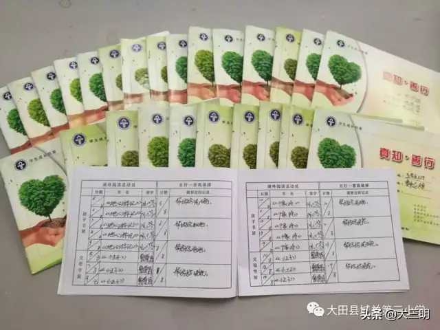 紫菜苔简笔画，苔花简笔画图片（“鼠”你最棒——大田县城关第三小学寒假公告）