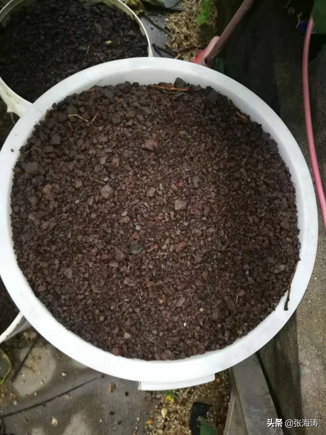 轻石是什么石头，轻石是什么石头的别称（种养兰花植金石无营养好多的东西能取代）