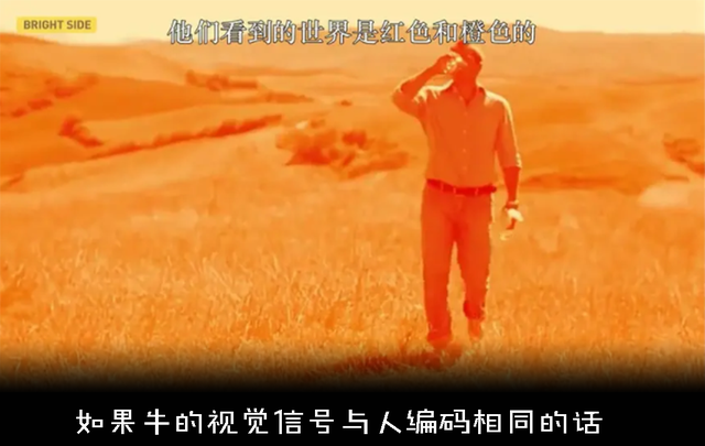 悖论是什么意思，祖父悖论是什么意思（如何解释才能不留BUG）