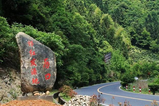 中国十大茶叶排行榜 分别是哪些品牌，中国十大茶叶排行榜（中国十大茶叶应该如何排名）
